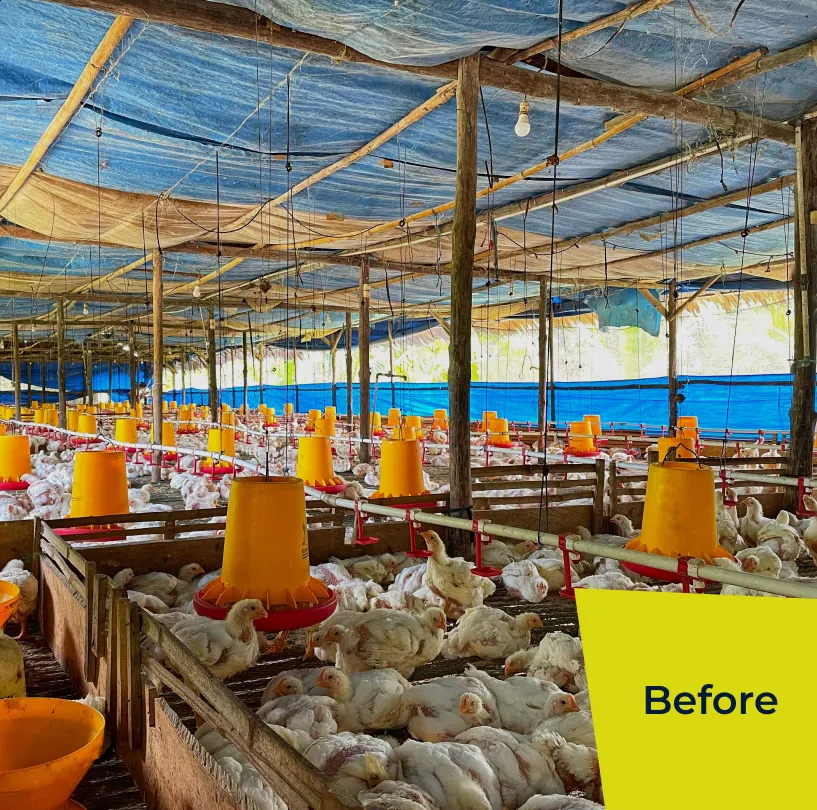 transformation image