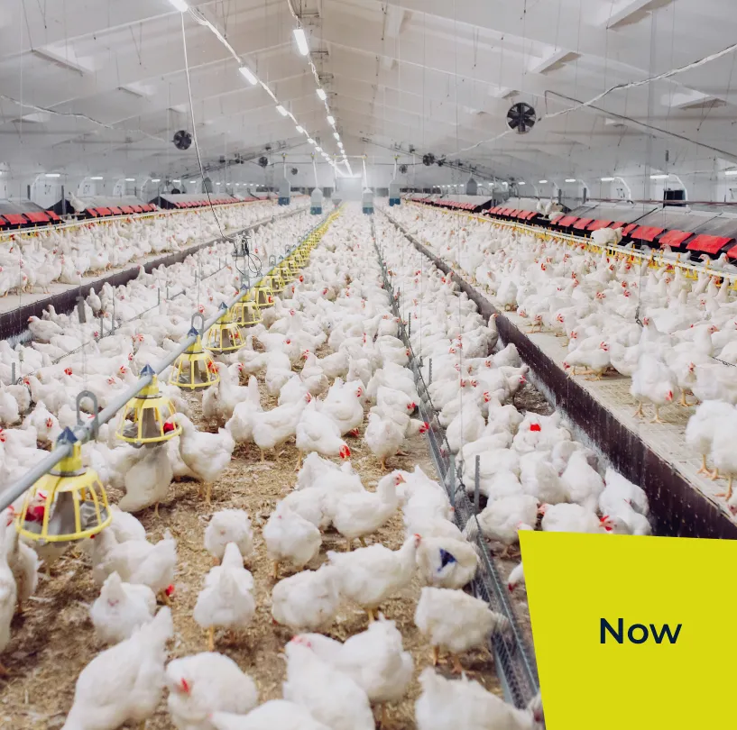 transformation image