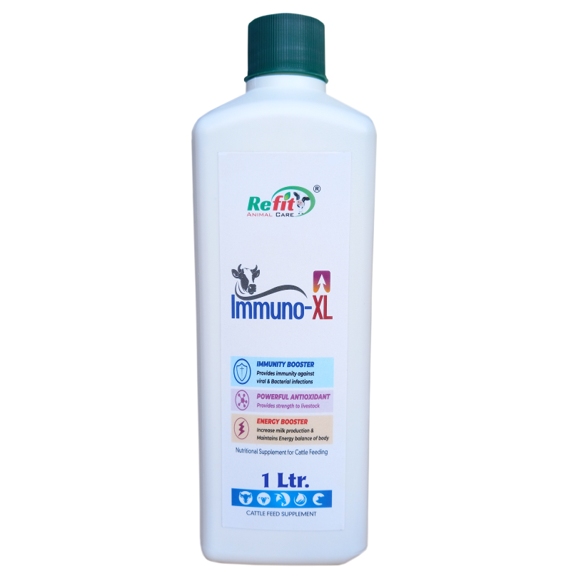 Milk Booster and Energy Booster for Cow, Buffalo & Livestock, 1 LTR, Immuno -XL