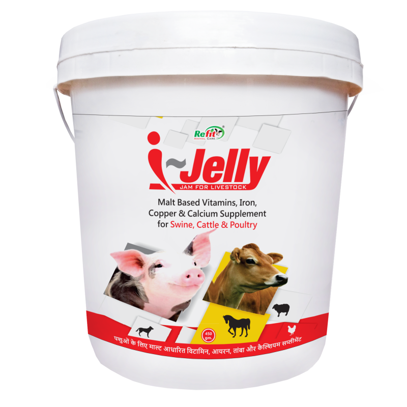 Malt Based Iron Multivitamin Supplement with Copper Calcium for Cow, Cattle and Poultry, 5 kg, I Jelly