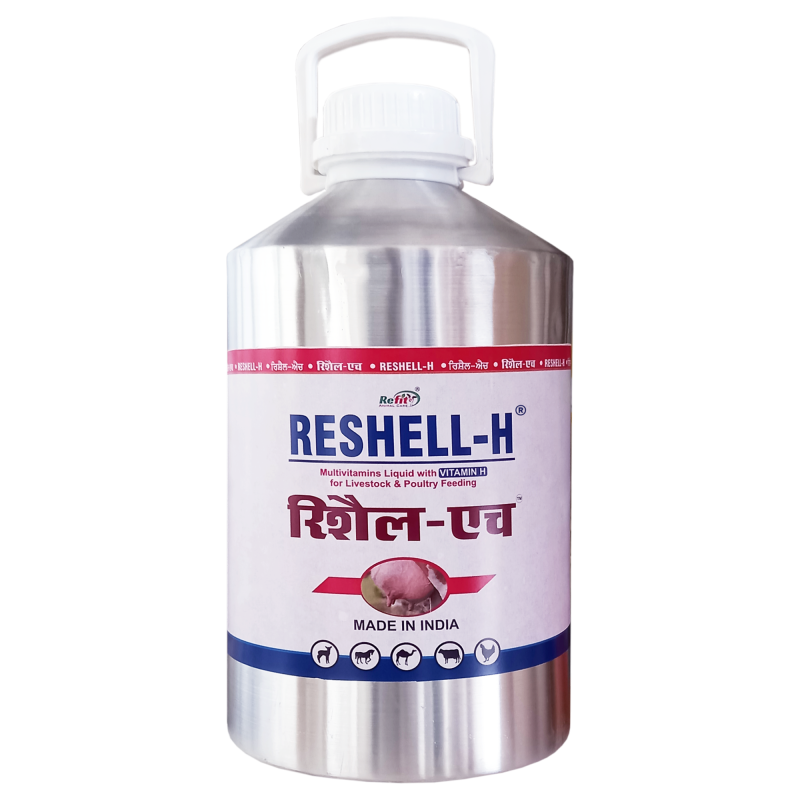 Veterinary Vitamin H Supplement for Cow, Cattle, Goat, Chicken, Layers, Broilers, Poultry and Other Livestock Animals, 10 LTR, Reshell H