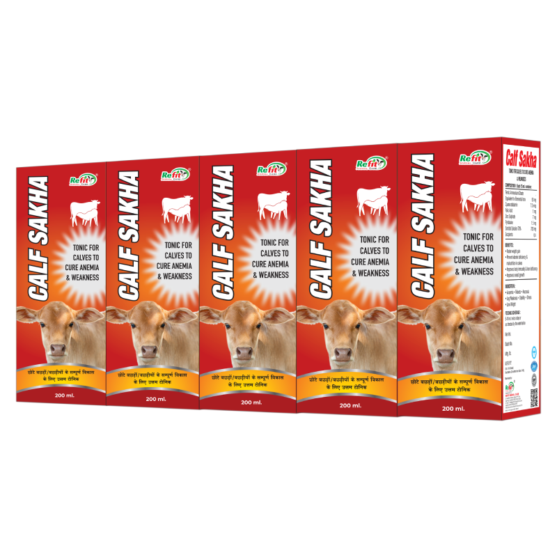 Calf Growth Tonic Liquid Feed Supplement Syrup, Set of 5, 200ml X 5 = 1000 ml, Calf Sakha