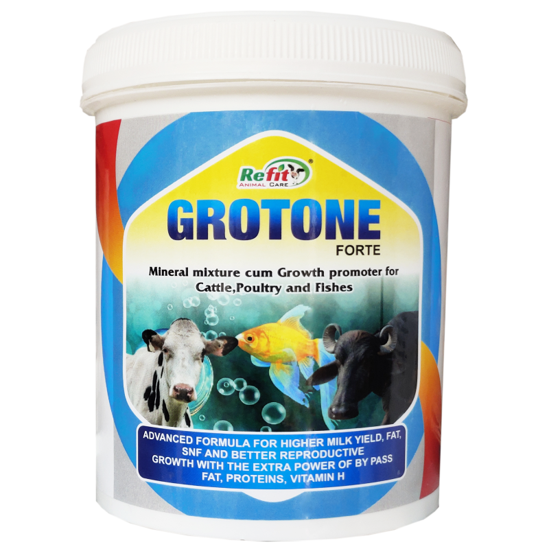 Mineral Mixture Powder for Cow, Cattle, Poultry, Fish and Aqua, 1 kg, Grotone Forte