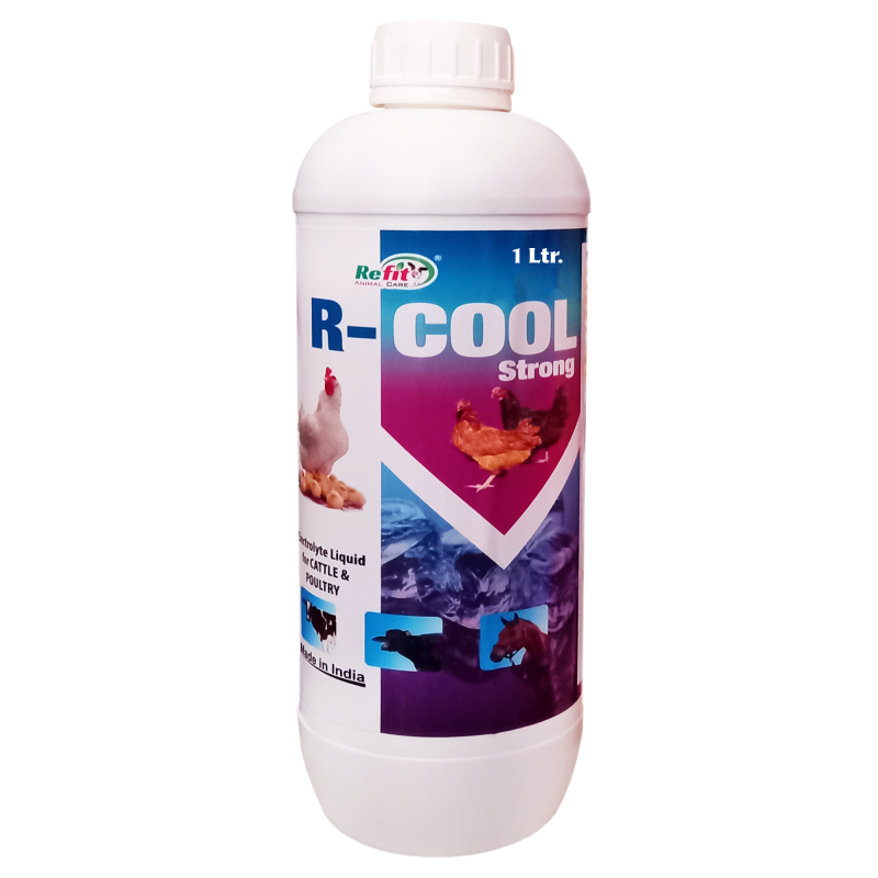 Electrolyte Liquid for Cow, Cattle, Chicken, Chicks, Broilers and Other Poultry Farm Animals, 1 LTR, R Cool Strong