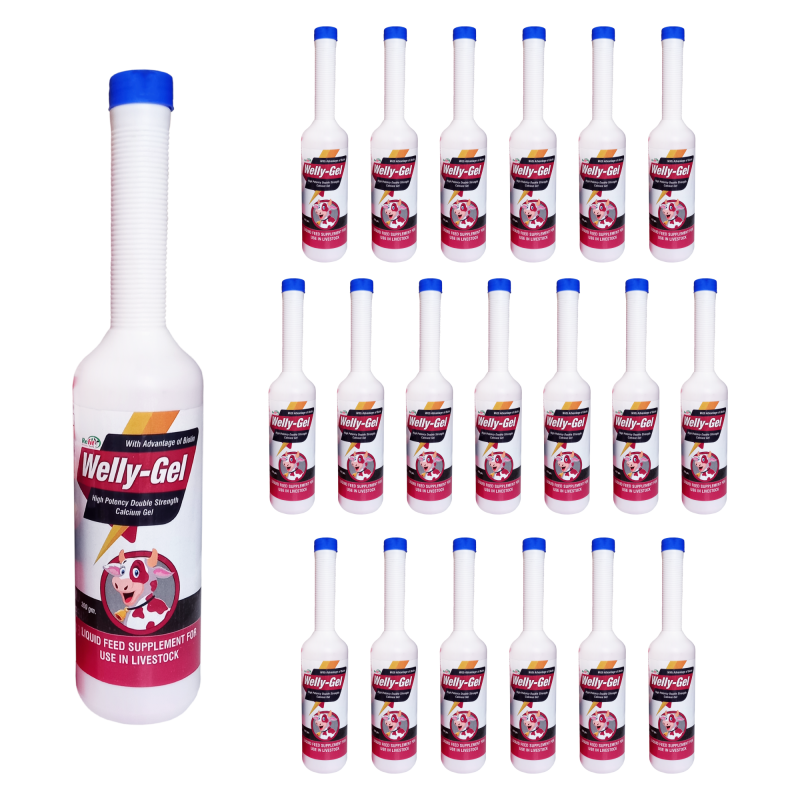 Veterinary Calcium Gel for Cattle, Cows & Buffalo - Supports Strong Bones, Energy and Immunity Booster, 300g x 20 (6000g), Pack of 20, Welly-Gel