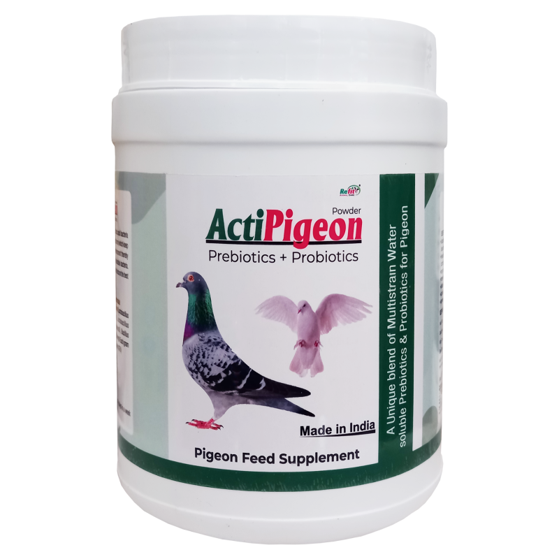 Prebiotics and Probiotics for Pigeons, 1 Kg, ActiPigeons
