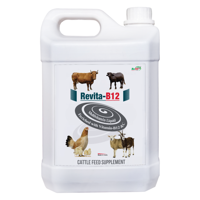 Veterinary Multivitmin Supplement for Cow, Cattle, Chicks, Chicken, Birds, Poultry and Other Dairy Livestock Animals 5 Liter, Revita B12