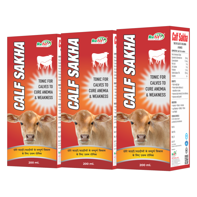 Calf Growth Tonic Liquid Feed Supplement Syrup, Set of 3, 200ml X 3 = 600 ml, Calf Sakha