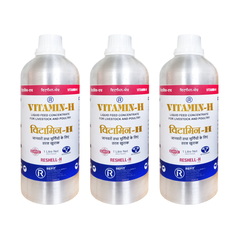 itamin H Supplement for Cow, Cattle, Buffalo, Goat, Chicks, Chicken, Poultry and Livestock Animals, 1 LTR, Pack of 3, Reshell H Lite