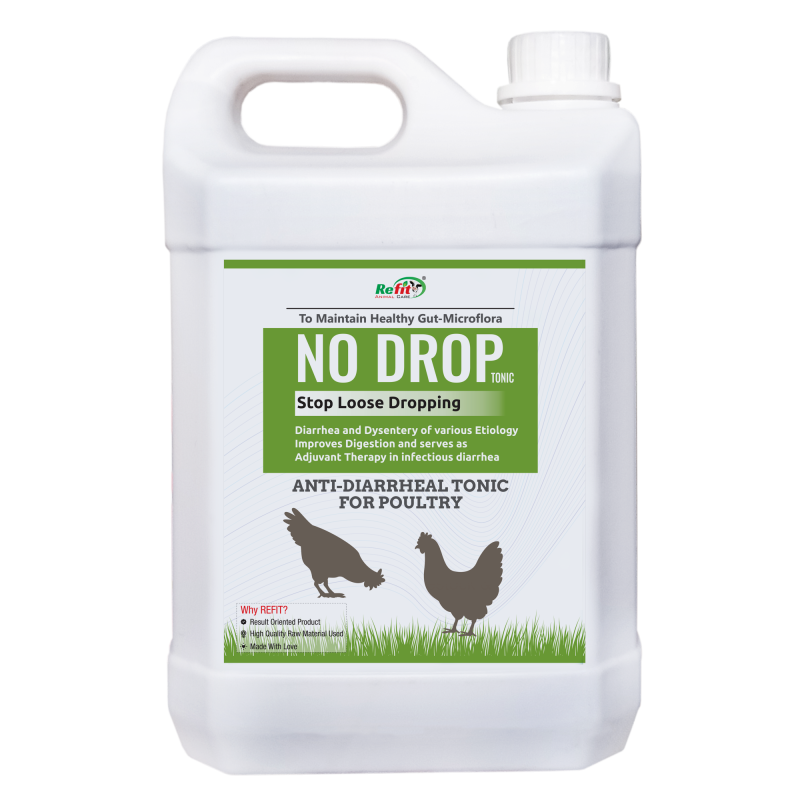 Anti Diarrheal Liquid Supplement for Poultry Gut 5 LTR, NO Drop