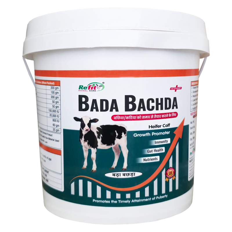 Bada Bachda Calf Growth Promoter Powder Supplement for Healthy Weight Gain, Immunity & Digestion Support, 1 Kg, Bada Bachda