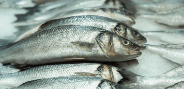 Fish & Shrimp Medicines