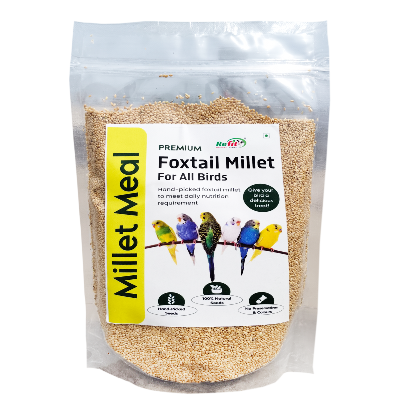 Foxtail Millet for Birds | Kangni Seeds | Bird Food 450 gm, Millet Meal