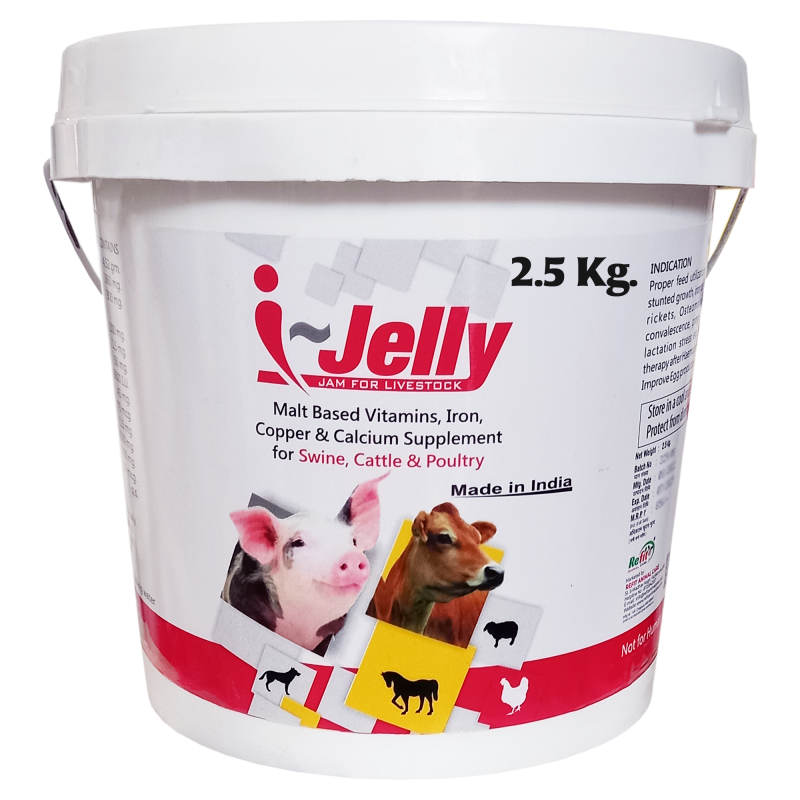 Malt Based Iron Multivitamin Supplement with Copper Calcium for Cow, Cattle and Poultry, 2.5 kg, I Jelly