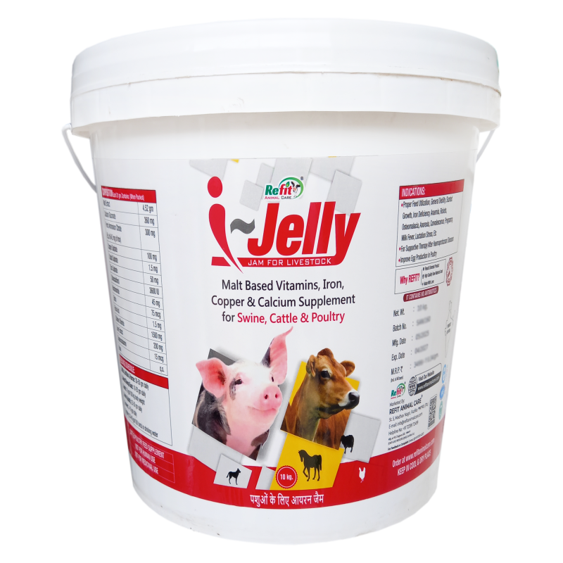 Malt Based Iron Multivitamin Supplement with Copper Calcium for Cow, Cattle and Poultry, 10 kg, I Jelly
