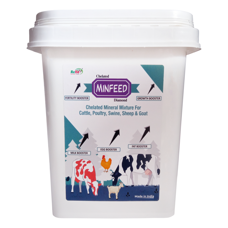 Chelated Mineral Mixture for Cow, Buffalo, Cattle, Goat, Sheep & Poultry, 5 Kg, Minfeed Diamond
