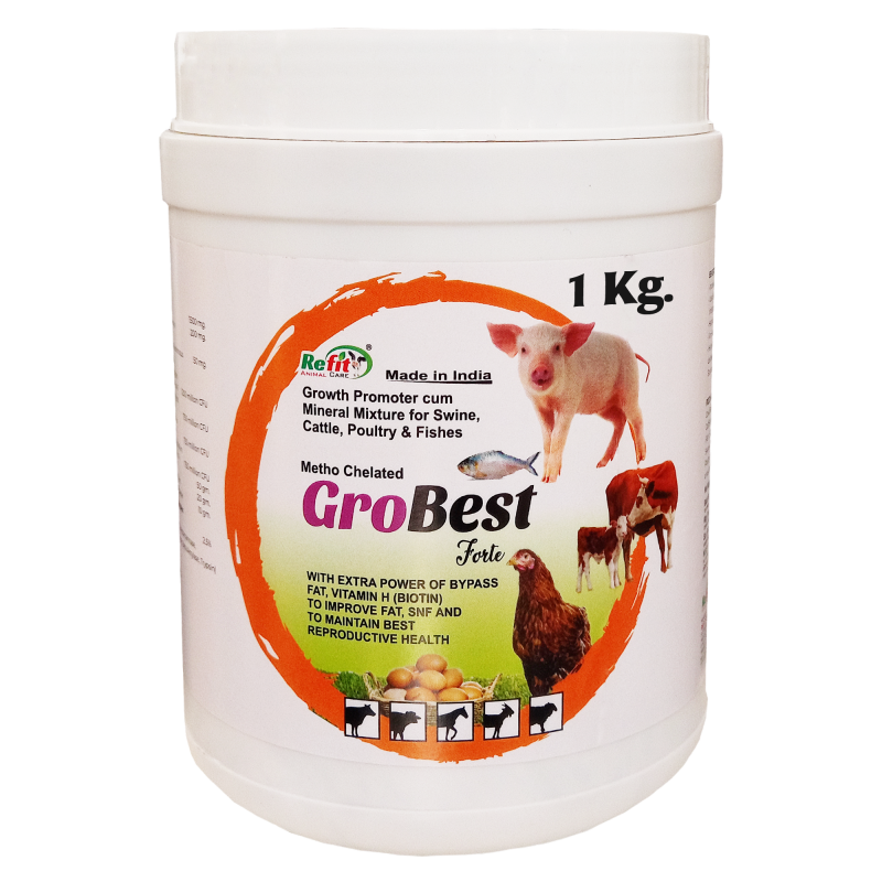 Metho Chelated Mineral Mixture Powder and Growth Promoter for Cow, Buffalo, Cattle, Poultry and Aqua, 1 Kg, Grobest