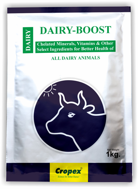 Cropex Dairy-Boost – Chelated Minerals & Vitamins Supplement for Dairy Animals | Enhances Milk Production, Health & Immunity in Cows & Buffaloes – (1kg)