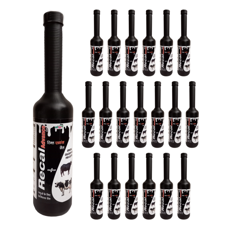 Veterinary Calcium Gel Supplement for Cattle, Cow, Buffalo & Livestock, 300 gram (Pack of 20), Recal Advance-Gel