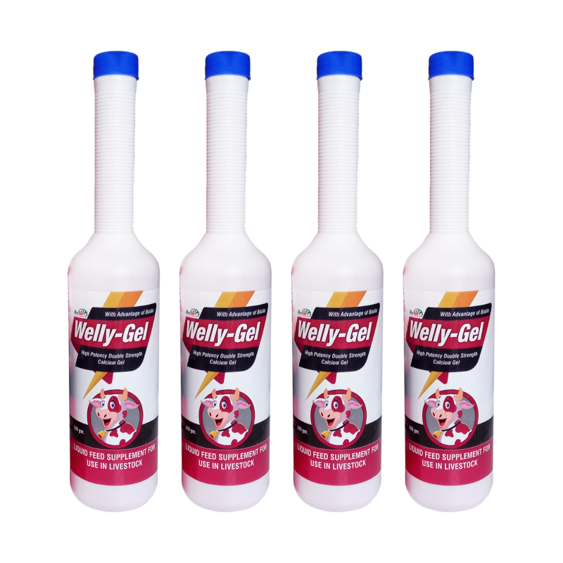 Veterinary Calcium Gel for Cattle, Cows & Buffalo - Supports Strong Bones, Energy and Immunity Booster, 300g x 4 (1200g), Pack of 4, Welly-Gel