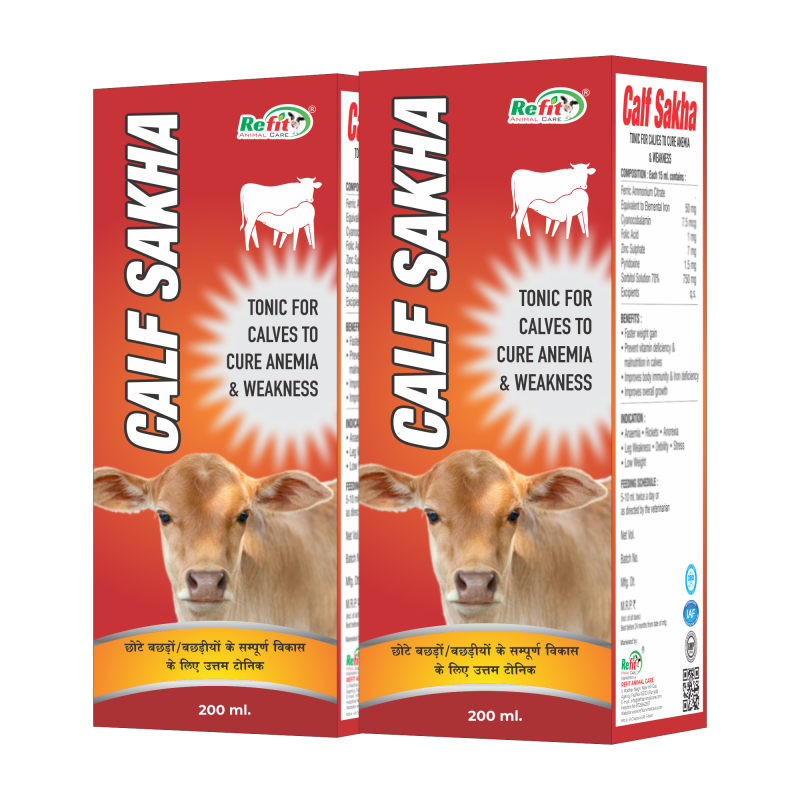 Calf Growth Tonic Liquid Feed Supplement Syrup, Set of 2, 200ml X 2 = 400 ml, Calf Sakha