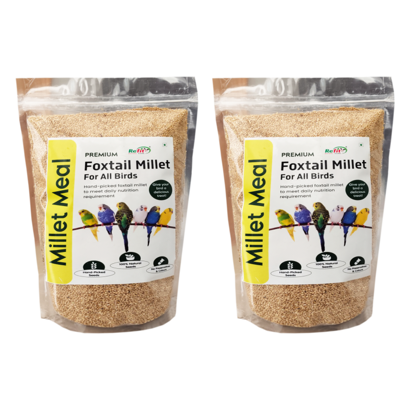 Foxtail Millet for Birds | Kangni Seeds | Bird Food