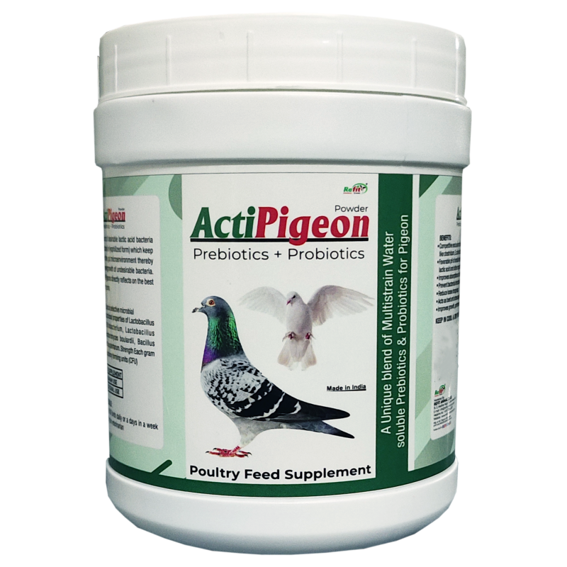 Prebiotics and Probiotics for Pigeons, 500 gram, ActiPigeons