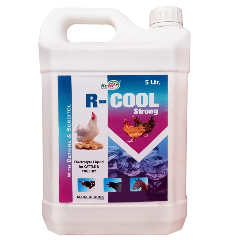 Electrolyte Liquid for Cow, Cattle, Chicken, Chicks, Broilers and Other Poultry Farm Animals, 5 LTR, R Cool Strong