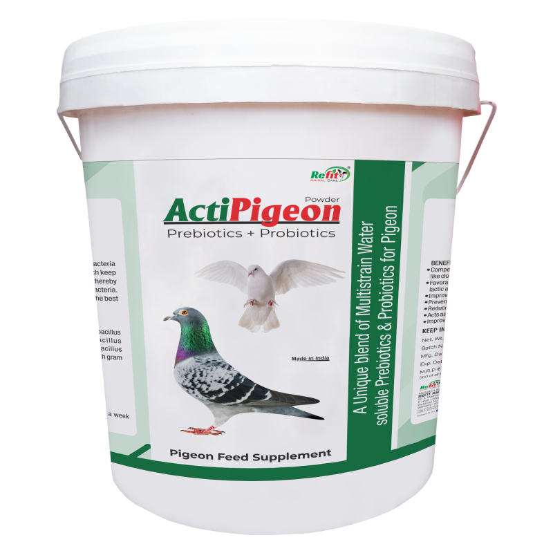 Prebiotics and Probiotics for Pigeons, 10 Kg, ActiPigeons