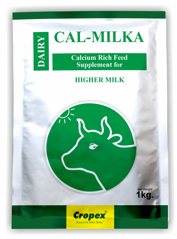 Cropex Cal-Milka Calcium-Rich Feed Supplement for Dairy Cattle | Supports Higher Milk Yield & Bone Strength | Essential for Cows & Buffaloes – (1kg)