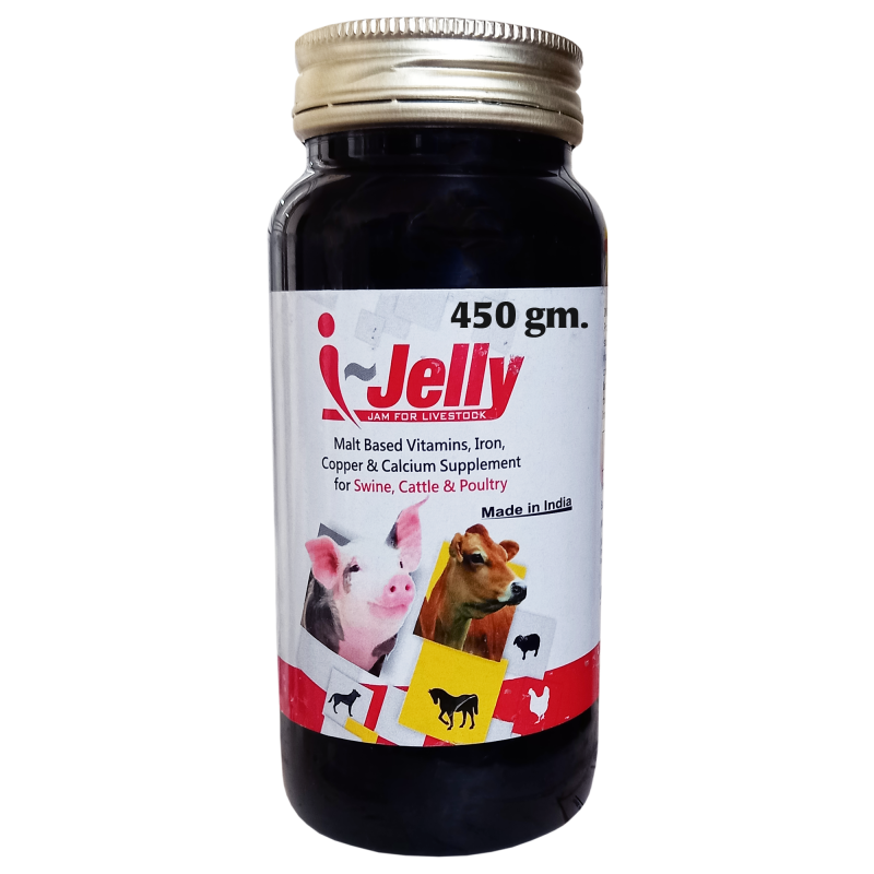 Malt Based Iron Multivitamin Supplement with Copper Calcium for Cow, Cattle and Poultry, 450 gm, I Jelly